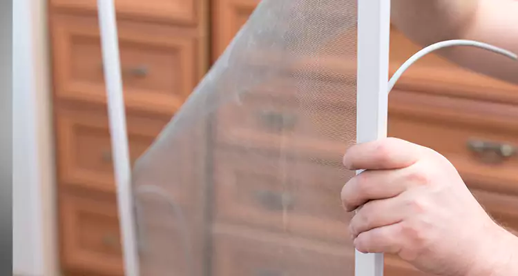 Privacy Mesh Screen Door Installation in Midway, FL